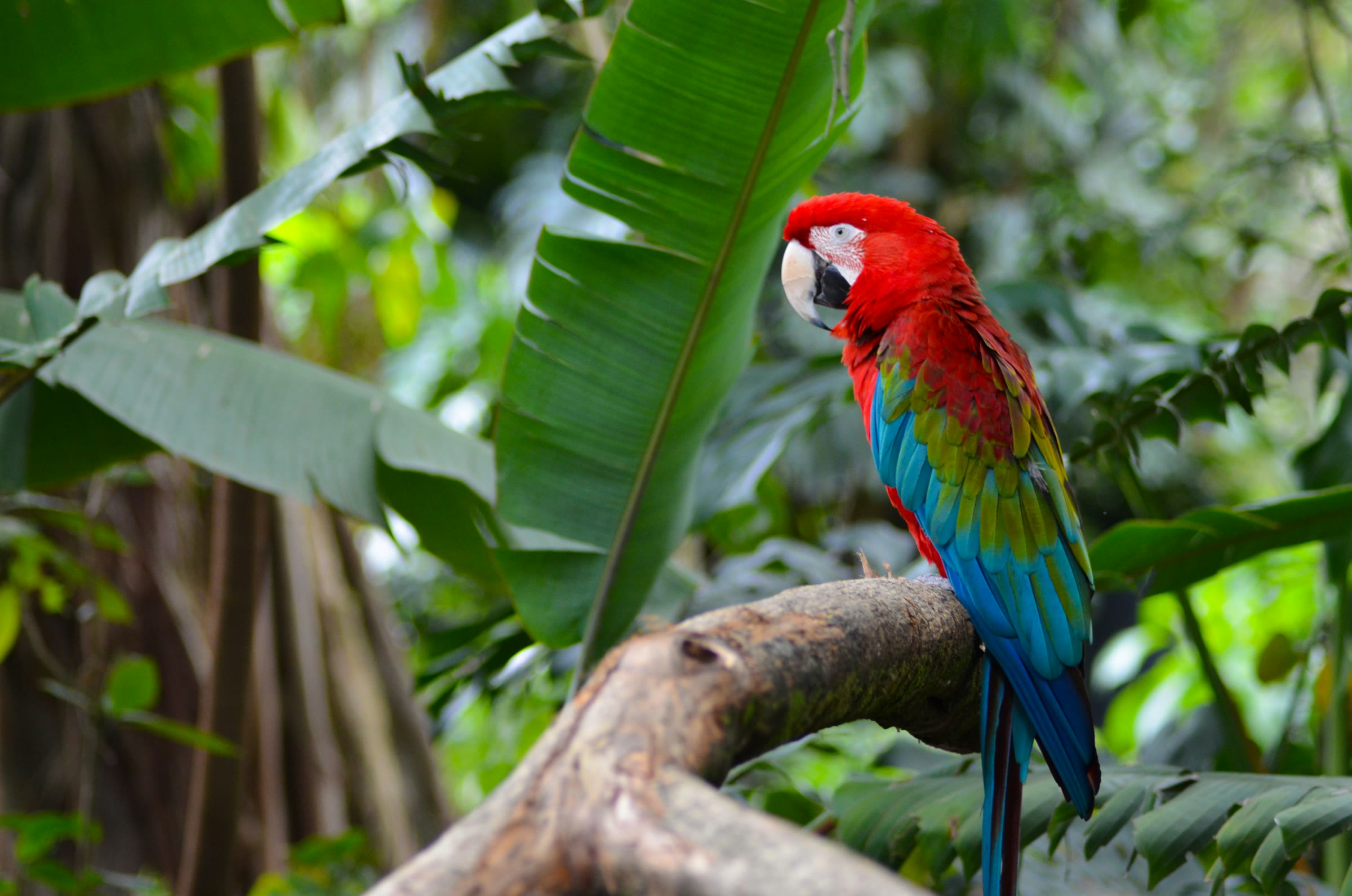 5 errores que cometen los ecohoteles en su sitio web