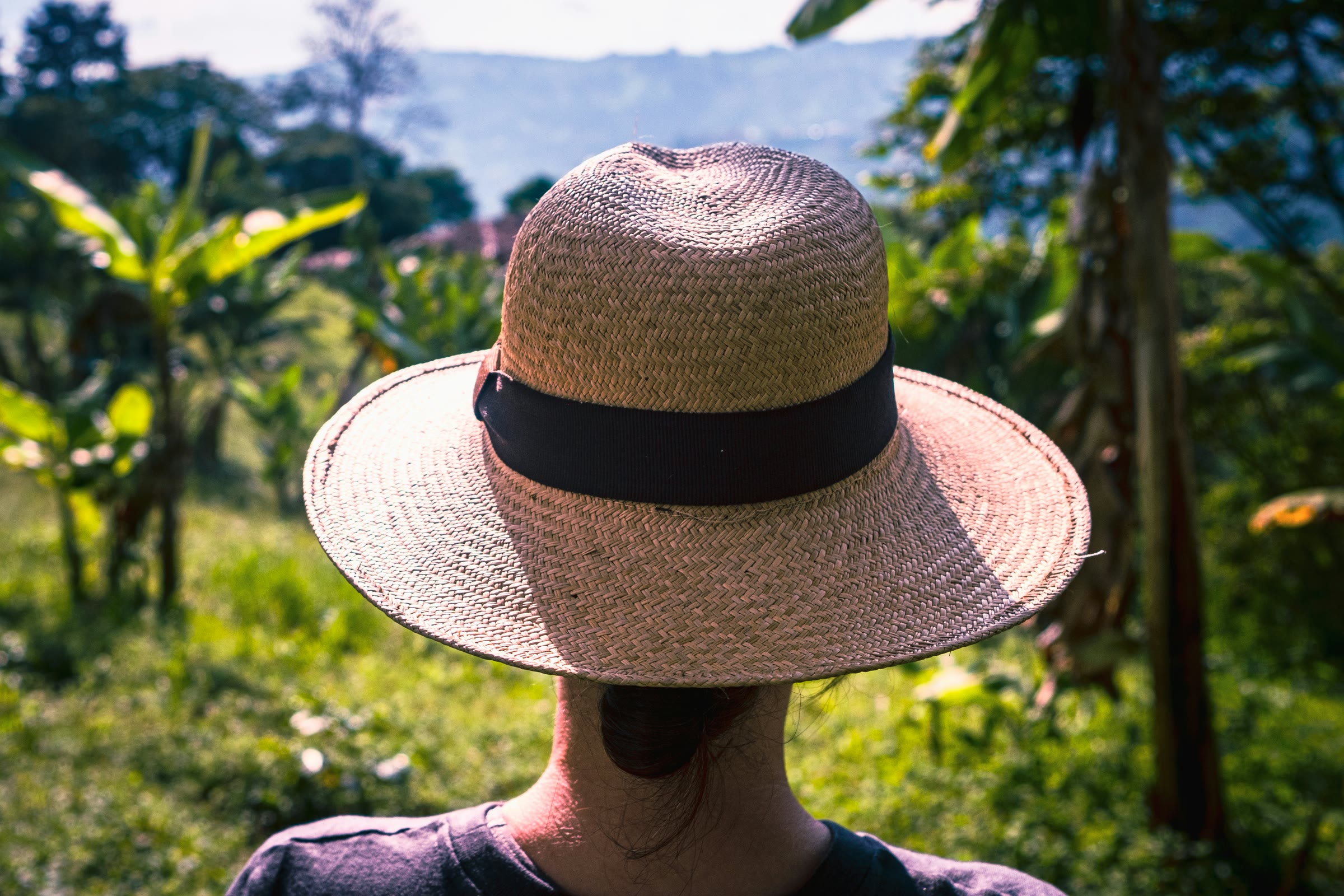 SEO + AEO para ecohoteles